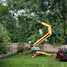 Best Landscape Design and Installation  in Brooklyn, NY